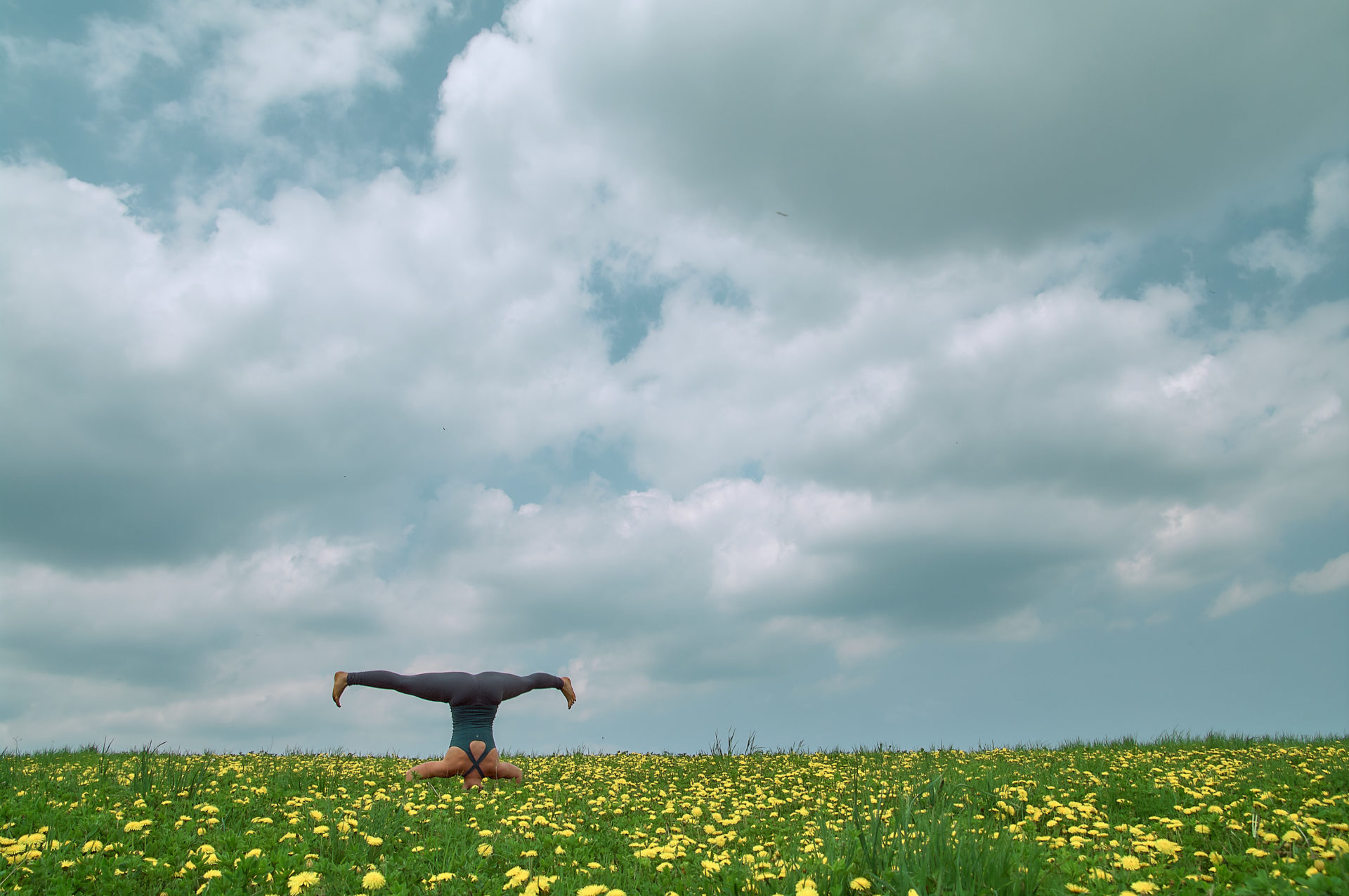 woman practicing yoga in open field of yellow dandelion flowers at Suttons Bay Michigan