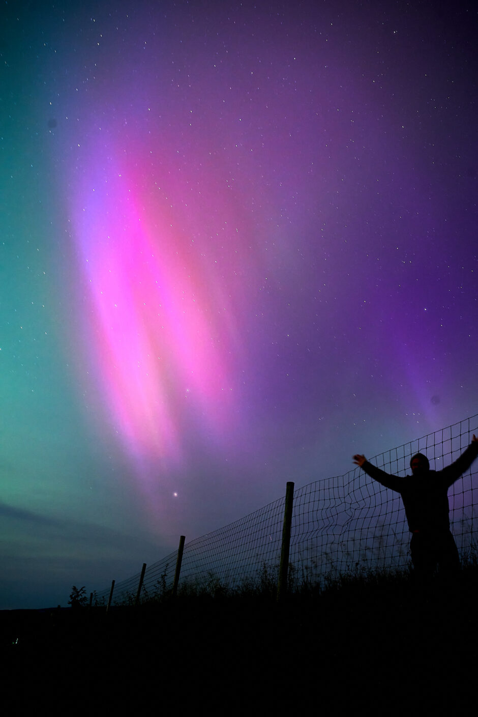 Northern Lights brightly showing greens, pinks, and purple in the skies above Leelanau County