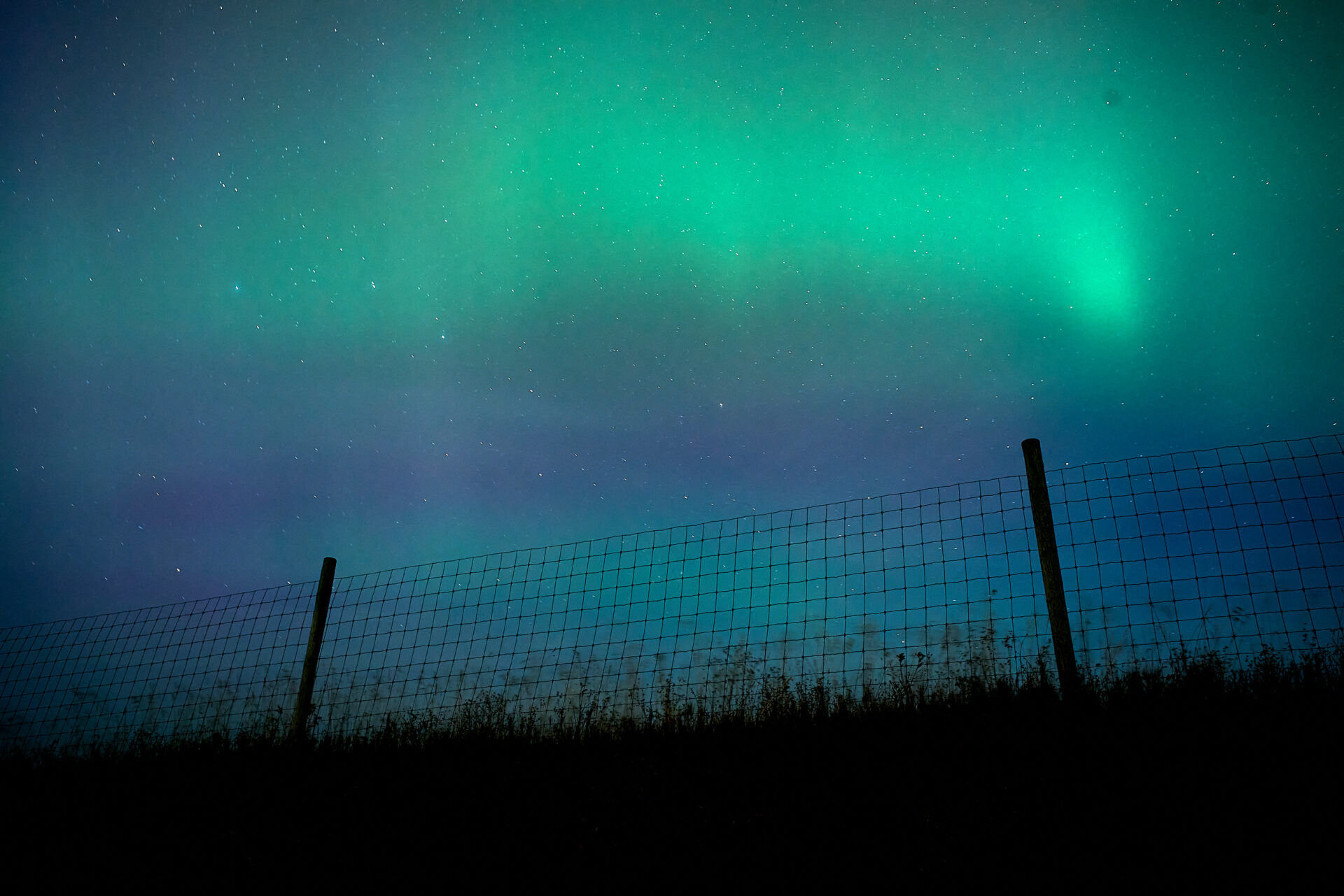 Northern Lights brightly showing greens, pinks, and purple in the skies above Leelanau County